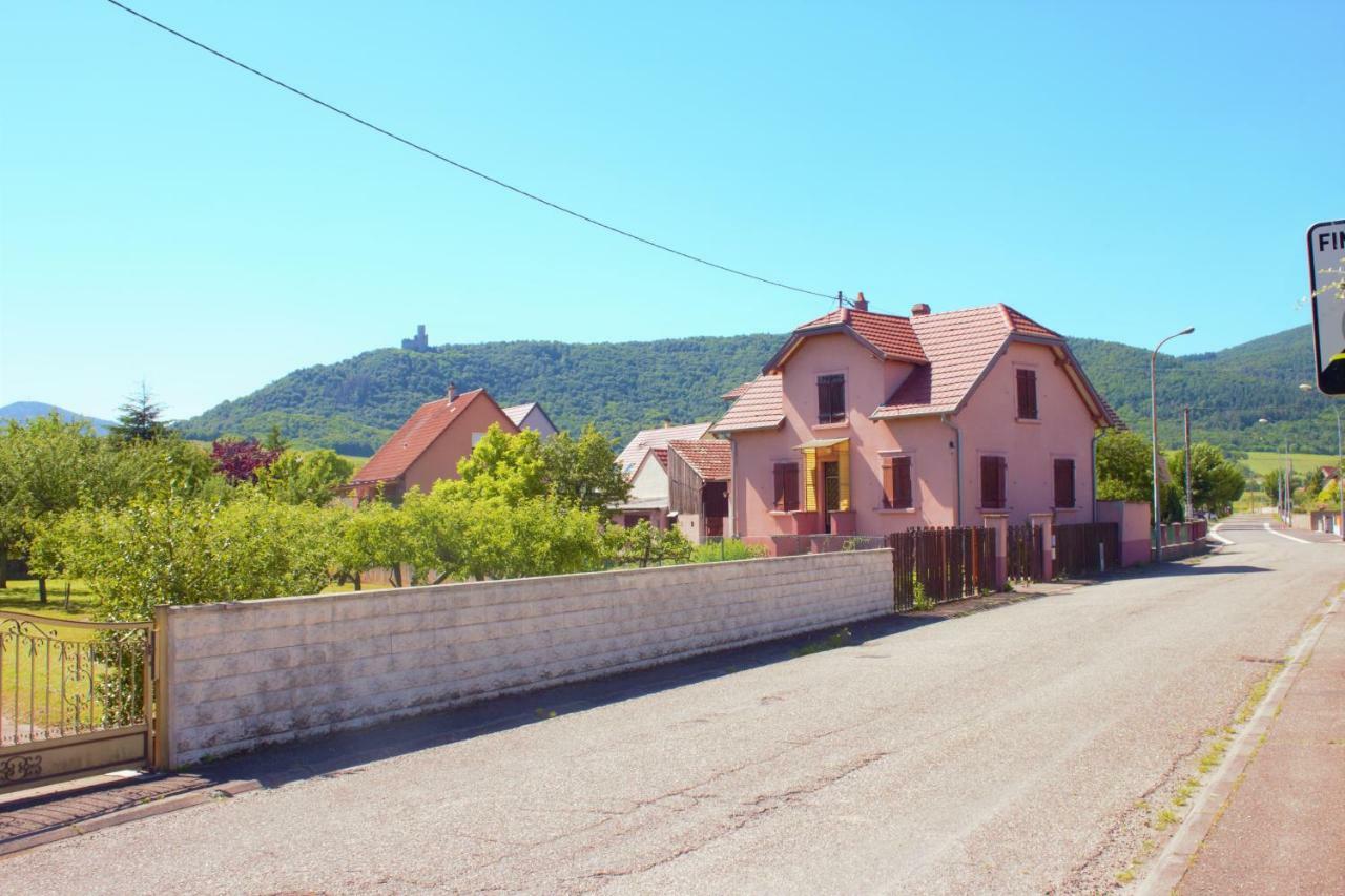 Apartament La Halte Des Vignes - Route Des Vins D'Alsace Scherwiller Zewnętrze zdjęcie