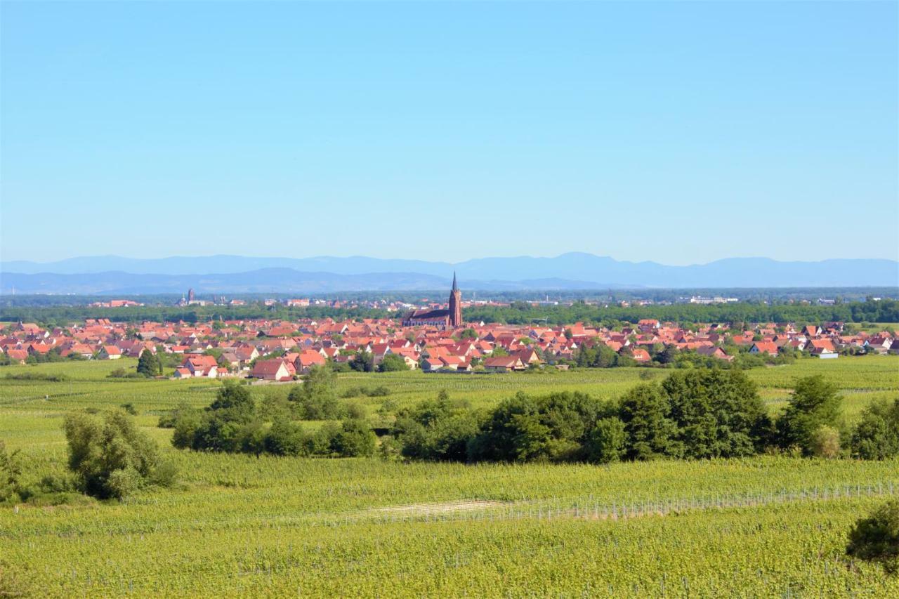 Apartament La Halte Des Vignes - Route Des Vins D'Alsace Scherwiller Zewnętrze zdjęcie