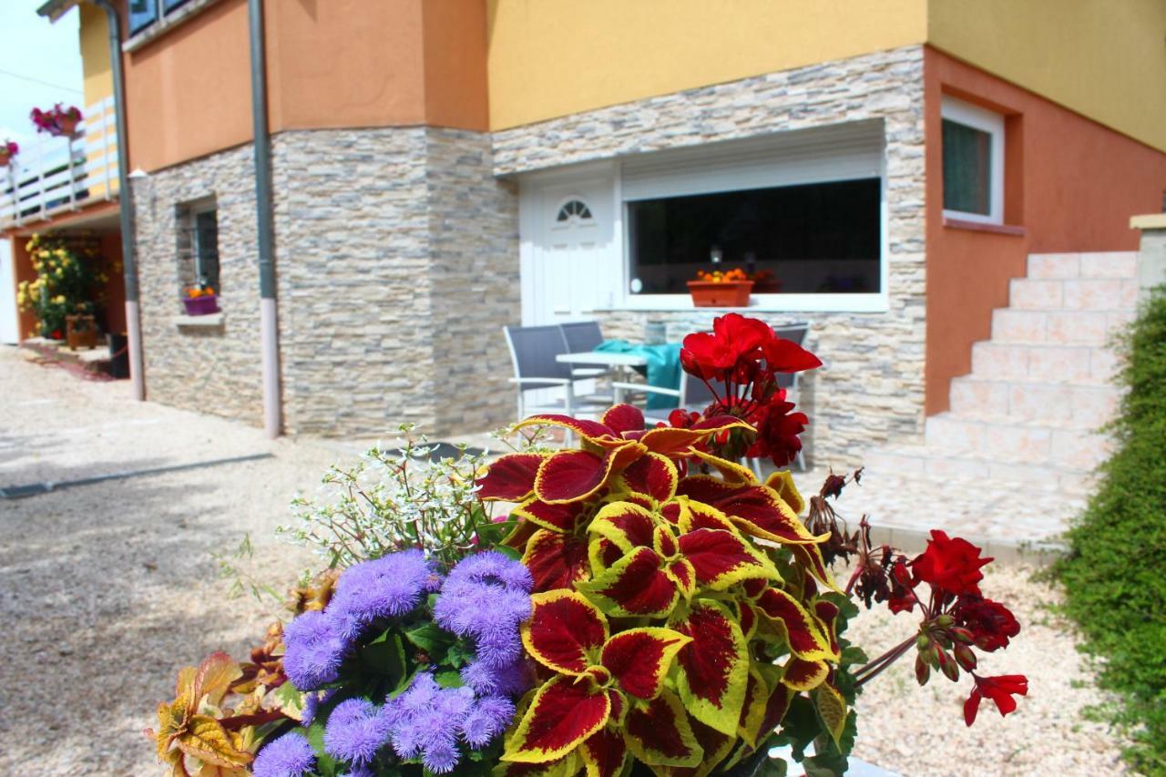 Apartament La Halte Des Vignes - Route Des Vins D'Alsace Scherwiller Zewnętrze zdjęcie